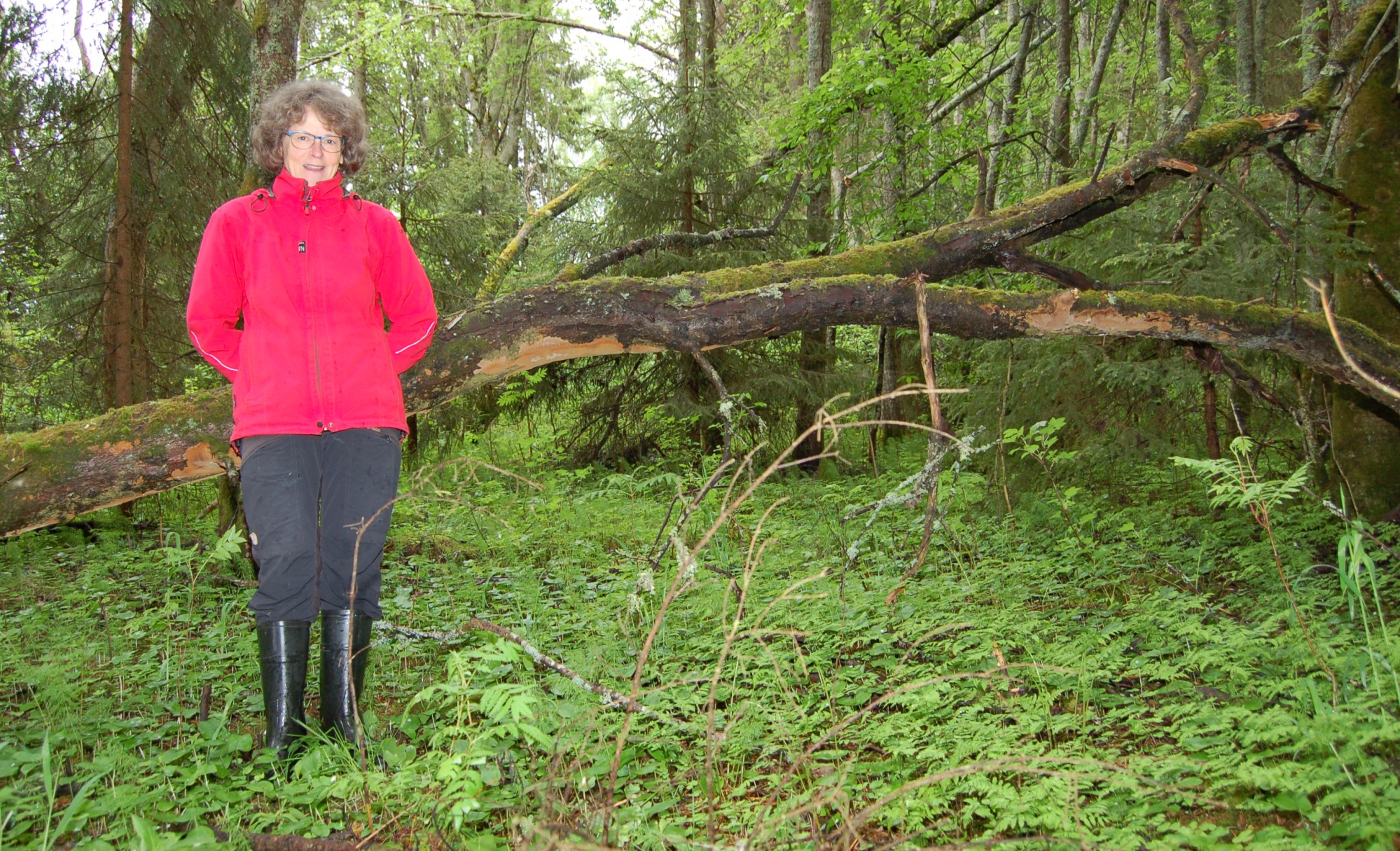 Nainen seisoo rehevässä metsässä. Hänen takanaan on konkeloon kaatunut kuollut lehtipuu.
