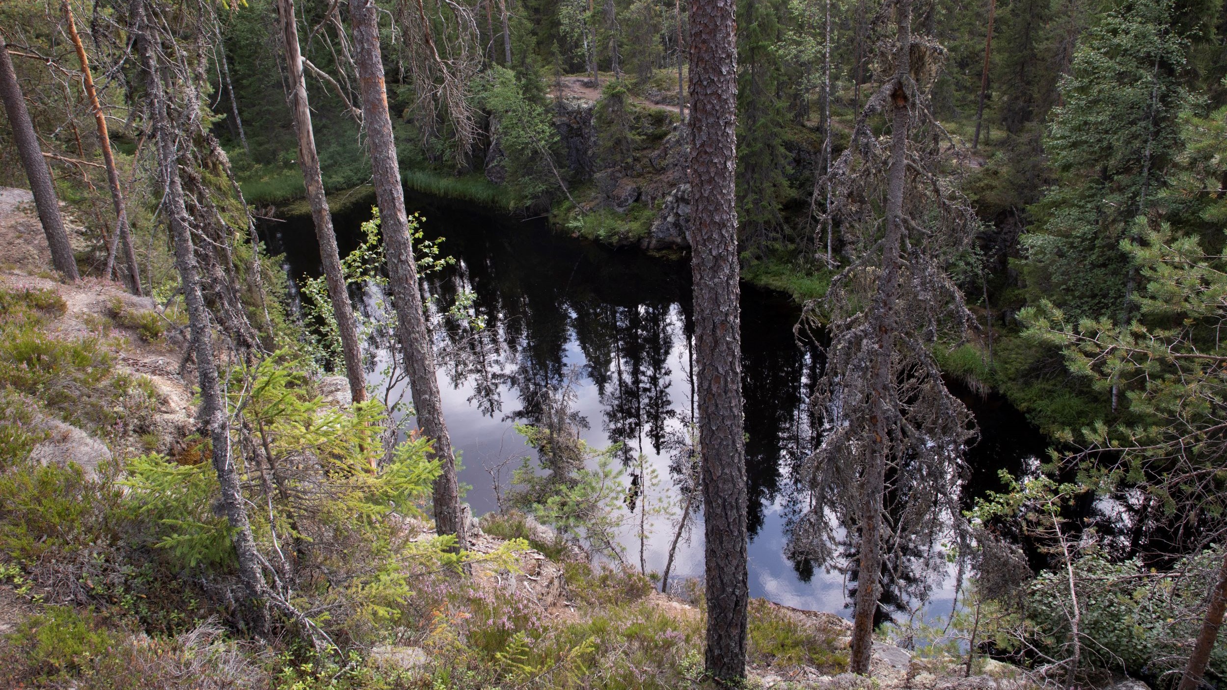 Näkymä mäntyäkasvavalta kalliojyrkänteeltä alas metsälammelle.