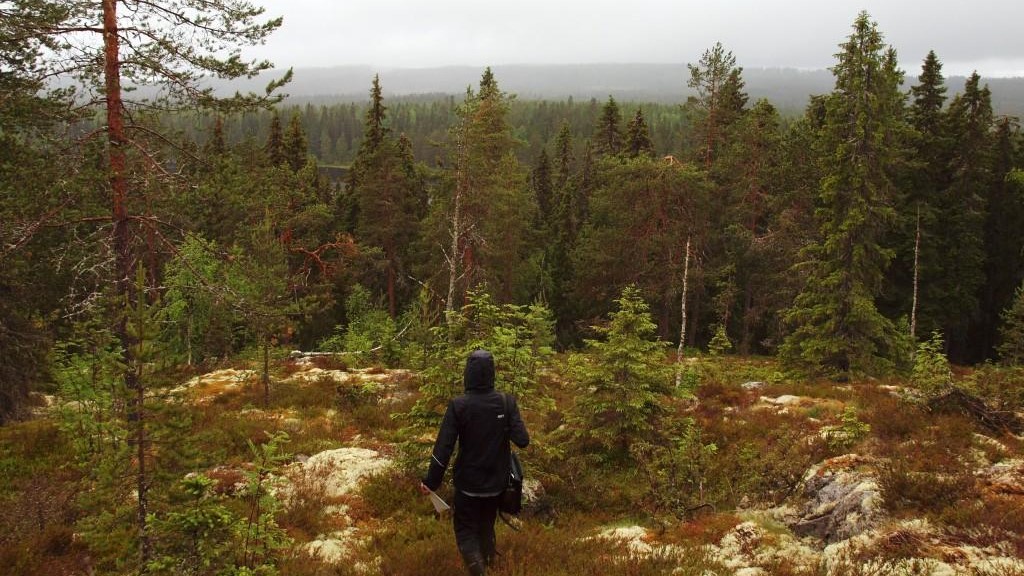 Ihminen seisoo alarinteessä ja hänen päänsä yli näkyy sumuista maisemaa alas vaaranrinnetta ja yli kaumapana siintävien vaarojen.