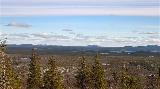 Metsäistä maisemaa, puuston alta pilkottaa lunta. Kaukana näkyvät Venäjän puolela olevien tuntureiden laet.
