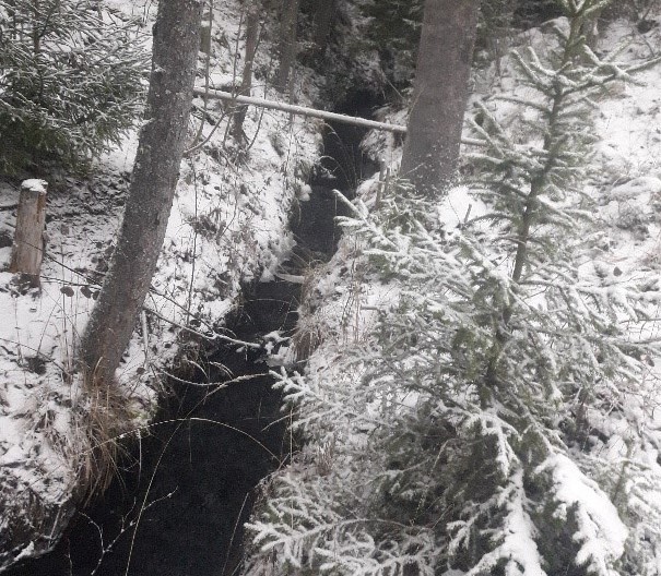 Kuvan keskellä virtaa tummavetinen oja. Ojan penkoilla maassa ja puiden oksilla on ohut lumipeite.