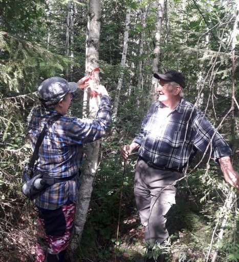 Kaksi miestä seisoo tiheässä metsässä. Toinen merkitsee koivunrunkoa punaisella kuitunauhalla.