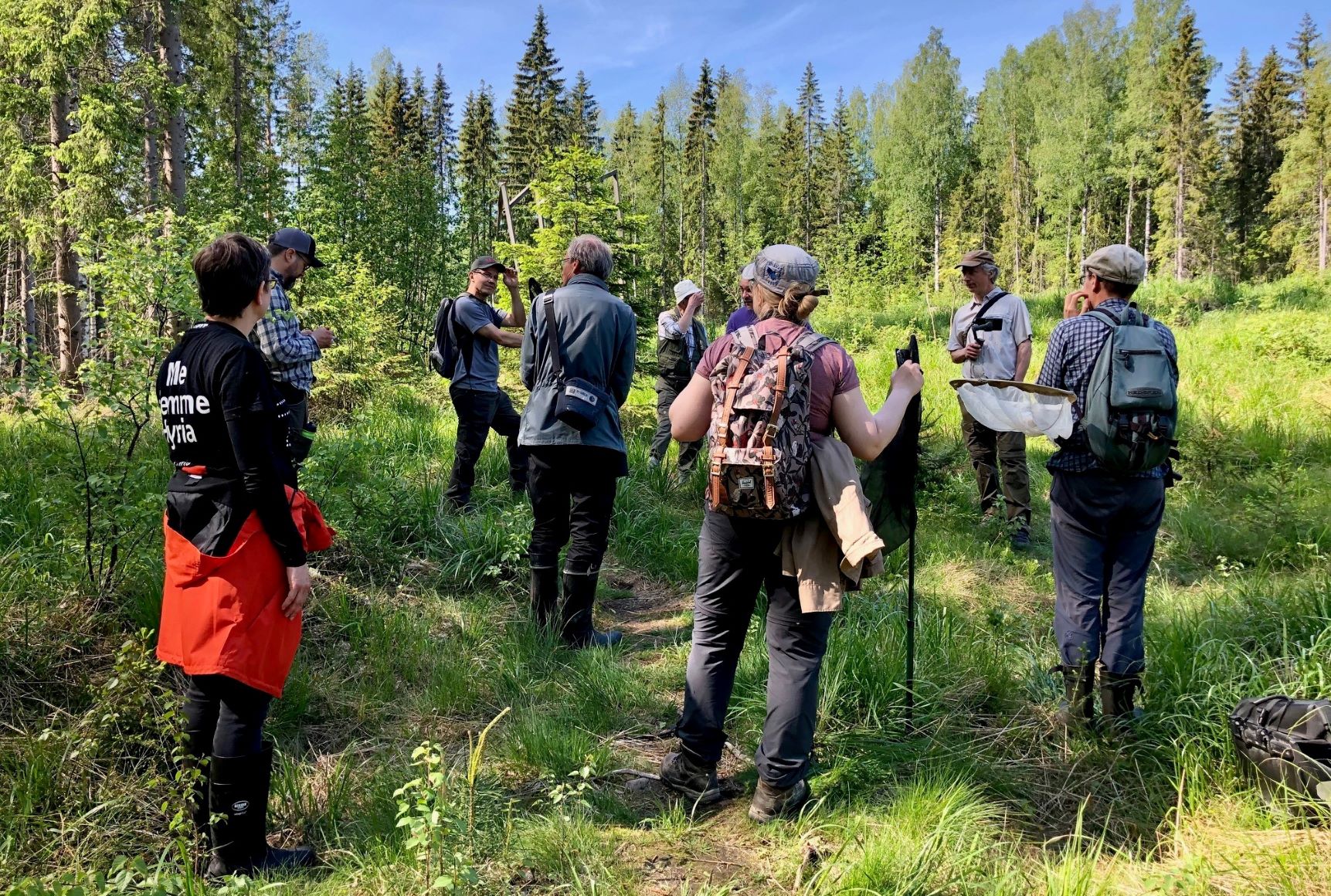 Joukko ihmisiä seisoo heinittyneellä hakkuuaukolla, taustalla on pystymetsää.