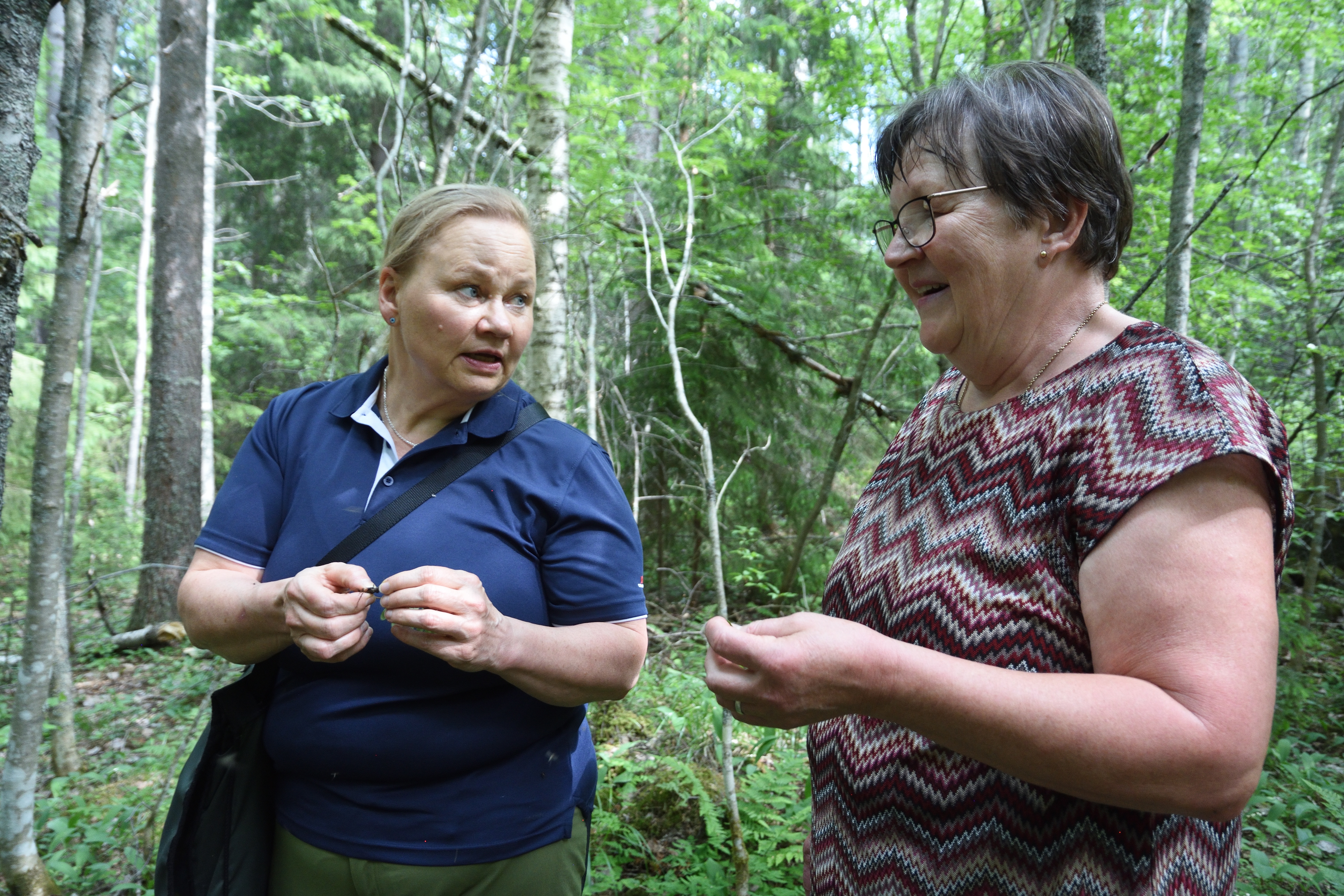 Riitta Raatikainen och Raija Hämäläinen i lundskogen.
