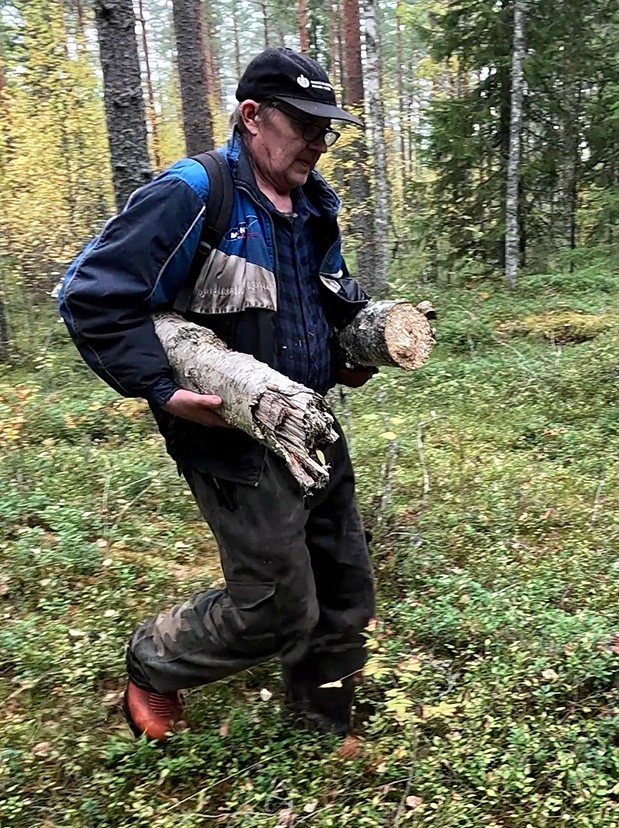 Mies kävälee metsässä kainalossaan pätkä koivupökkelöstä.